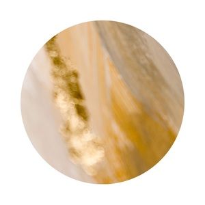 Meet your Posher, Ivÿ